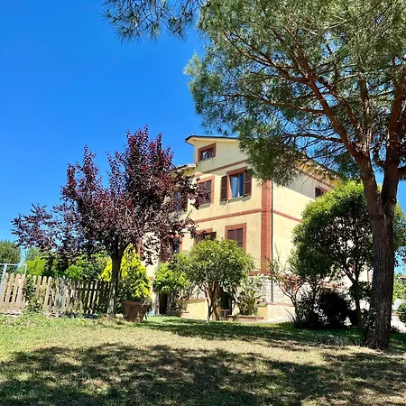Lantgård Cetine Vecchie Torrita di Siena