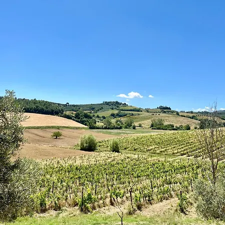 Cetine Vecchie Lantgård Torrita di Siena