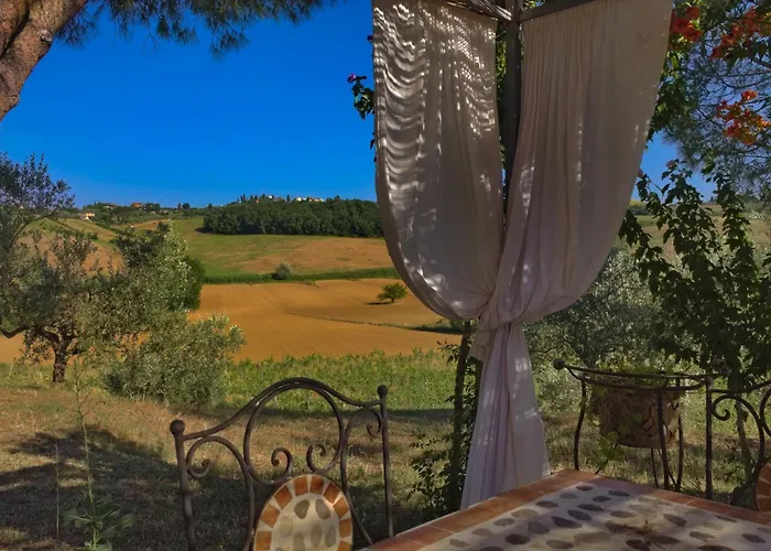 Cetine Vecchie * Torrita di Siena