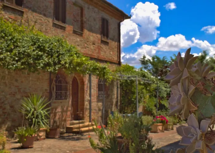 Cetine Vecchie Torrita di Siena