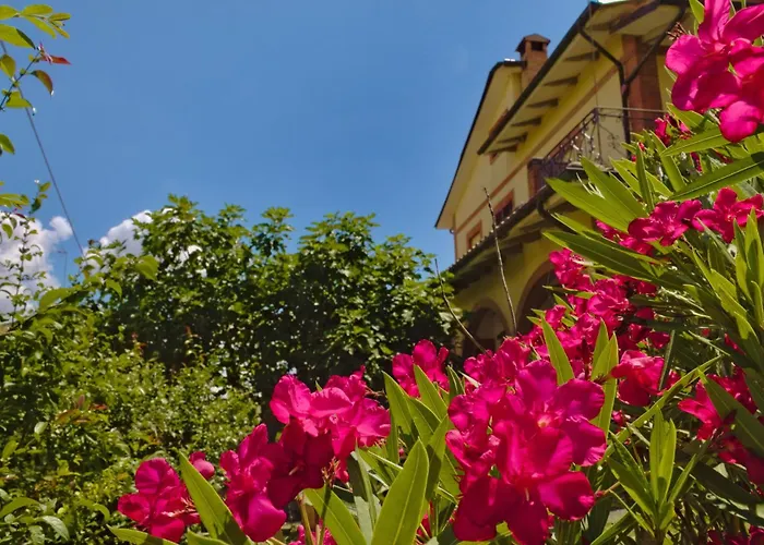 Cetine Vecchie Torrita di Siena