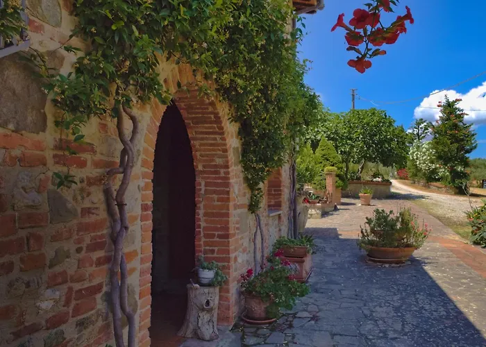 Cetine Vecchie * Torrita di Siena