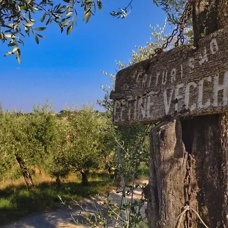 Κατάλυμα σε φάρμα Cetine Vecchie *