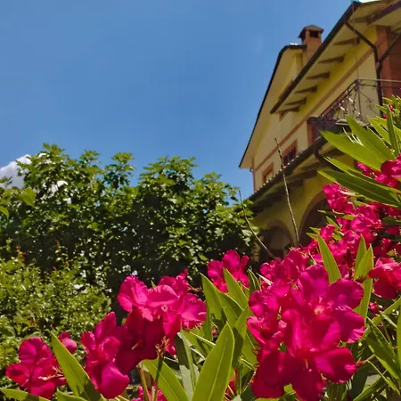 Cetine Vecchie Torrita di Siena