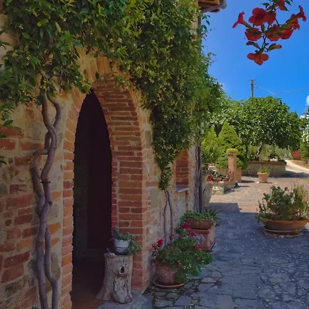 Cetine Vecchie * טוריטה די סיינה